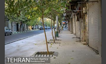 باز پیرایی خیابان 50 ساله 15