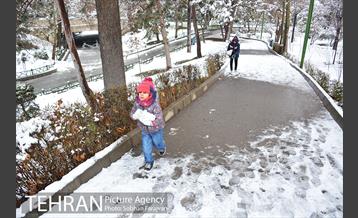 روز برفی تهران در بوستان ملت 25