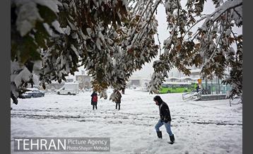 بارش برف در تجریش 20
