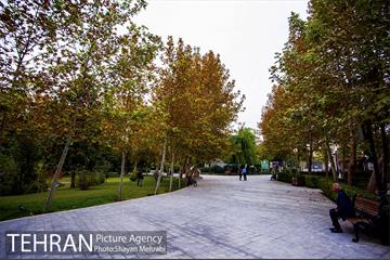 پاییز پارک شهر 26