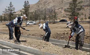 اینجا کارگاهه؛ پروژه بام ری 26