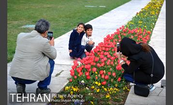 رویش گل های لاله در میدان آزادی 27