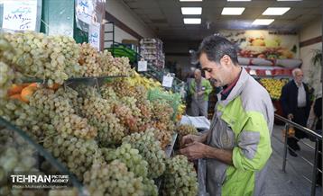 تره‌بار یلدایی 17