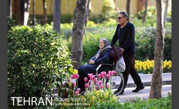 رویش گل های لاله در باغ ایرانی 24