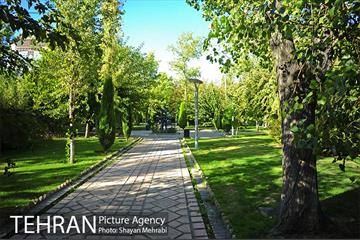 بوستان هنرمندان (ایرانشهر) 21