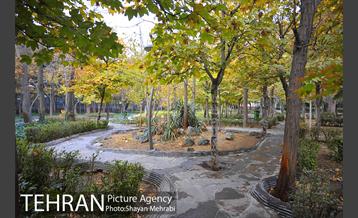 پاییز در پارک های تهران 6