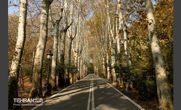 آخرین روزهای پاییزی  11