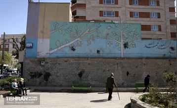 زخم بی فرهنگی بر دیوارهای شهر 12