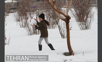 بارش برف در تهران 24