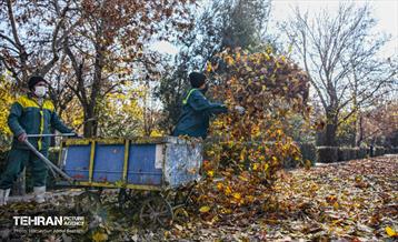 گذرگاه های پاییزی پایتخت - منطقه 14