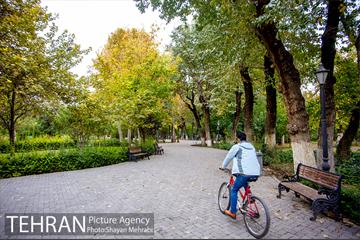 پاییز پارک شهر 11