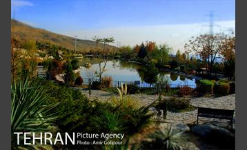 آبشار رنگارنگ 24