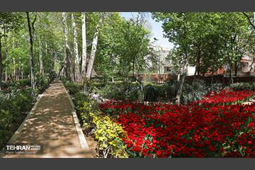 باغ ایرانی میزبان لاله‌ها 2