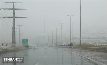 روز برفی در منطقه 22 15