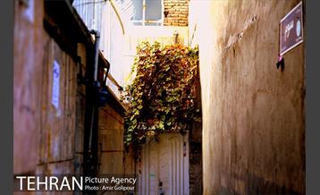 محله نازی آباد 31