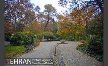 پاییز در پارک های تهران 30