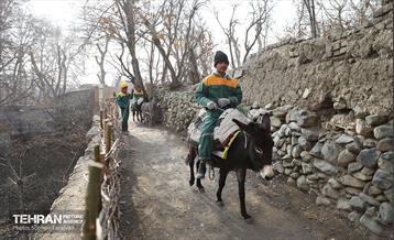 اینجا کارگاهه؛ اکو پارک فرحزاد 1