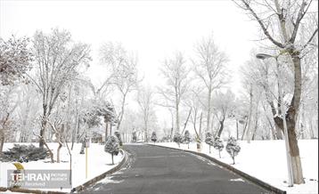 روز برفی تهران - 3 29