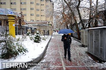 بارش برف زمستانی در تهران 31