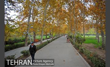 پاییز در پارک های تهران 12