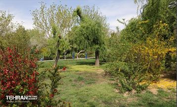 بوستان بانوان نرگس 19