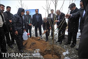 مراسم روز درختکاری با حضور شهردار تهران و رئیس مجلس 23