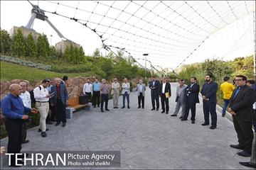 شبگردی اصحاب رسانه در منطقه چهار شهرداری تهران  6
