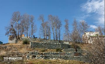 اجرای طرح ضربتی پاکسازی دره فرحزاد 20