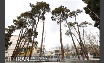 بوستان شهرآرا 1