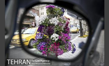 استقبال از بهار در خیابانهای تهران 5