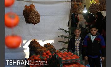 نخستین جشنواره خرمالو در روستای کشار سفلی 10