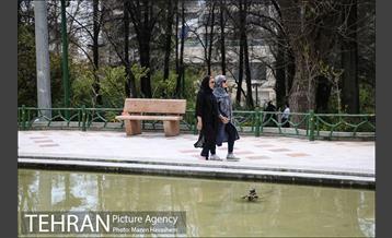 بوستان نیاوران در یک روز آفتابی 2