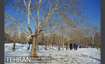 فصل زمستان در بوستان ملت 32