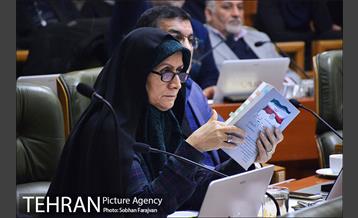 صد و نود و یکمین جلسه شورای شهر 16