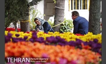 پیاده راه لاله برای مادران 27