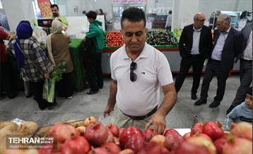 افتتاح ۶ بازار میوه‌ و تره‌بار 12