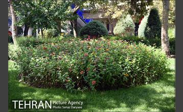 بوستان رسالت 17