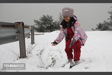 روز برفی تهران - 2 21
