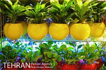 هشتمین نمایشگاه گل و گیاه تهران 17