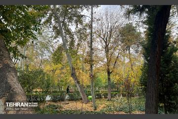 پاییز پارک شهر 1