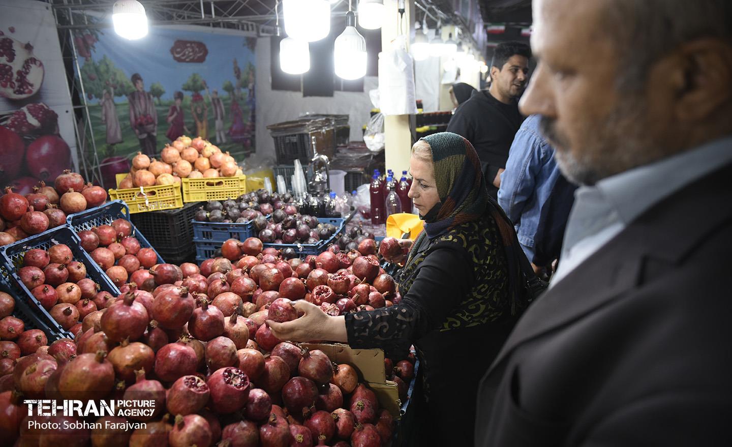 یازدهمین جشنواره صد دانه یاقوت 11