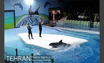 حضور خانواده هاى کارکنان شهردارى تهران در دلفیناریوم برج میلاد به همراه شهردار تهران 21