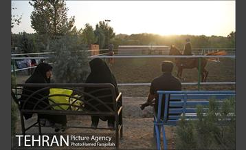 سوارکاری ورزشی برای کودکان‎ 6