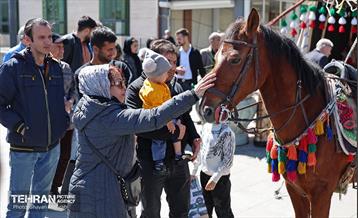 غرفه‌های استقبال از بهار شهرداری تهران 6