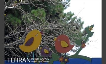 میدان هلال احمر 25