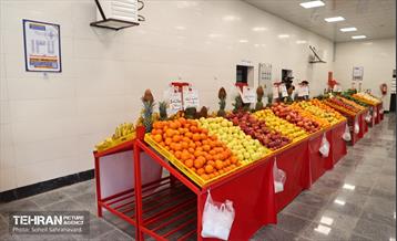 بهره‌برداری از ۲۲ بازار میوه و تره‌بار شهرداری تهران  29