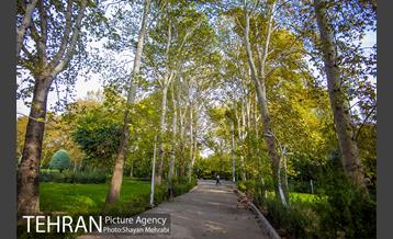 پاییز بوستان لاله 20