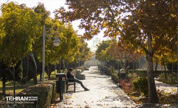 سمفونی رنگ های پاییزی - بوستان رازی 24