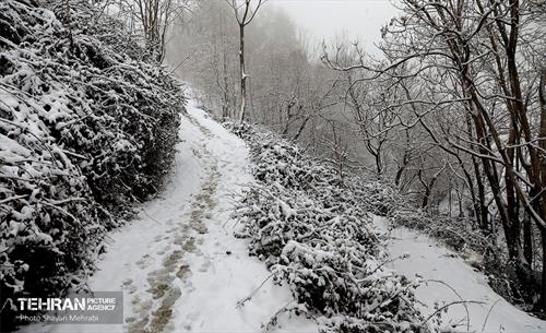بارش برف زمستانی در تهران 18