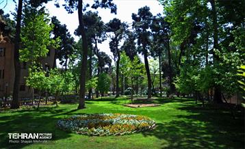 عمارت مسعودیه 38